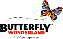 (c) Butterflywonderland.com