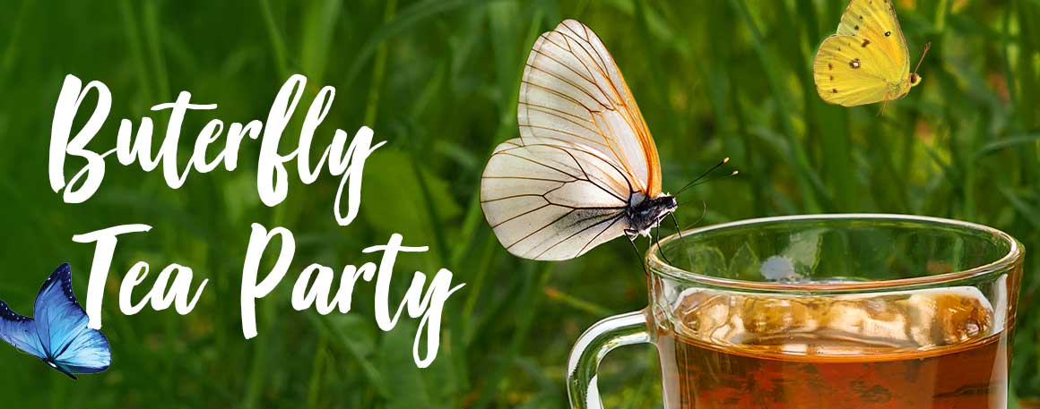 Butterfly Tea Party