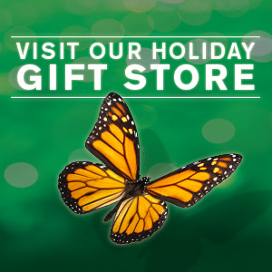 Special Events and Promotions at Butterfly Wonderland in Scottsdale, AZ