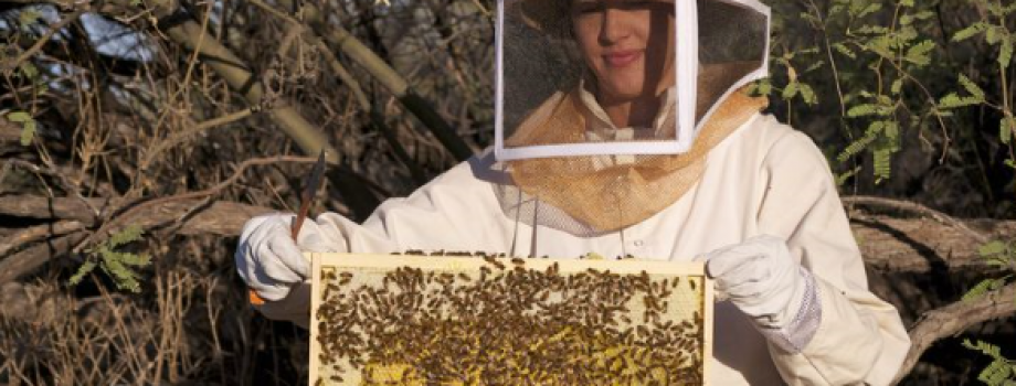 Beekeeping Workshop coming soon