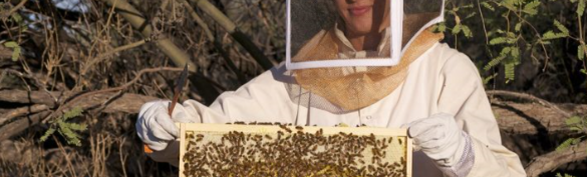 Beekeeping Workshop coming soon