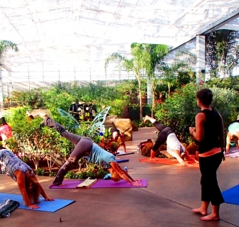 Yoga in the Rainforest