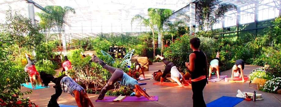 Yoga in the Rainforest