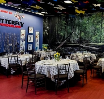 Meetings and Events at Butterfly Wonderland